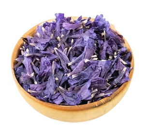 گل گاو زبان